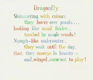 Dragonflies: Which Came First? ' page 20