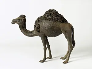 Wrought: The Camel