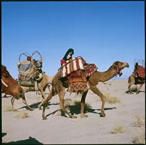 Trekking: CAMEL CARAVAN IRAQ 1979