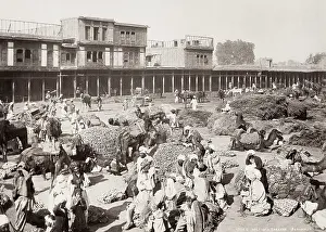 Khyber: Camel caravan, Peshawar, India, Khyber Province, Pakistan