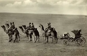Bikaner: Camel carriage, Bikaner, Thar Desert, Rajasthan, India