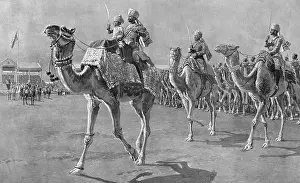 Nawab: Camel corps at Delhi Durbar, 1911