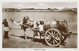 Keepers: Camel-drawn water cart, Aden