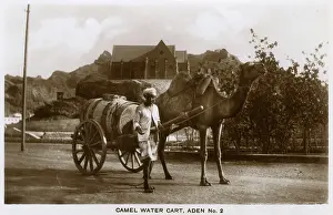 Keepers: Camel-drawn water cart, Aden