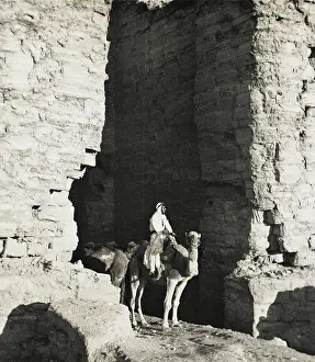 Camel driver at Petra, Jordan