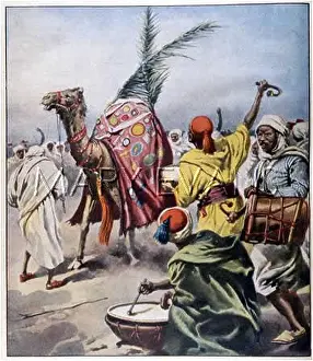 Marsa: CAMEL FAIR TUNISIA 1931