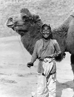 Leash: Camel leader in China, 1927