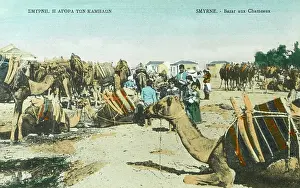 Camel Market - Izmir, Turkey