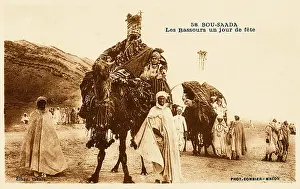 Litters: A camel palanquin (covered litter)