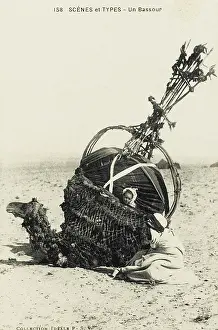 Sandstorm: Camel Palanquin (covered litter)