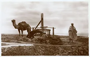 Camel-powered water wheel in Morocco