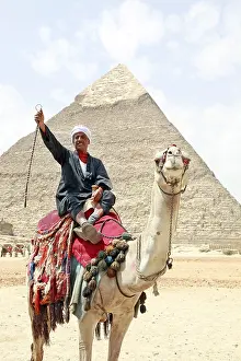 Khafre: Camel and Pyramid of Khafre in Cairo, Egypt