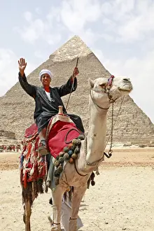 Khafre: Camel and Pyramid of Khafre in Cairo, Egypt