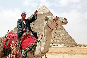 Khafre: Camel and Pyramid of Khafre in Cairo, Egypt