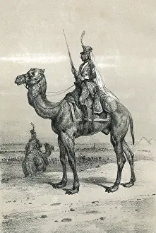 Dromedary: CAMEL & RIDER EGYPT 18C
