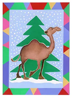 Alison: Camel walking in front of Christmas tree