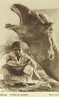 Yawns: Camel and Young Moroccan Boy - Two Friends