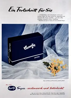 Menstruation: Camelia panty liner advert
