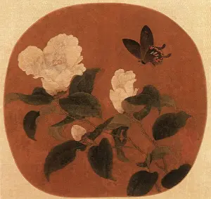 Camellia: Camelias and Butterfly