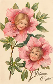 Marcellus: Camellia Flower Faces