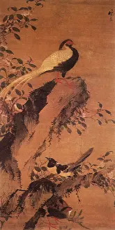 Amidst: Camellias and Pheasants