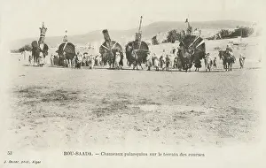Paniers: Camels palanquins on the racing grounds