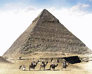 Camels and pyramid, Egypt