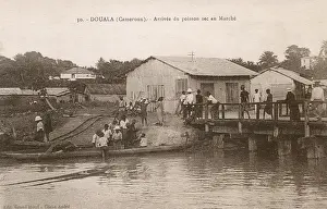 Douala: Cameroon - Douala - Arrival of the fish catch for market