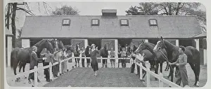 Thoroughbreds: Camille Clifford at Stable