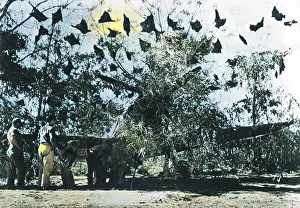 Camouflaged US fighter plane in China
