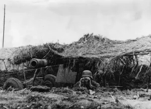 Observes: Camouflaged German gun emplacement on the Western Front