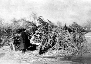 Targets: Camouflaged gun on the Eastern Front, 1943