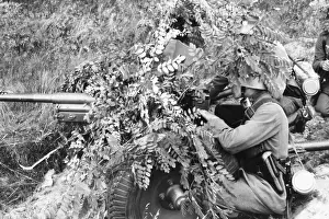 Anti Tank: Camouflaged PAK with soldiers