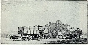 The Camp