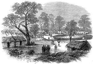 Asanti: The Camp at Dunquah, Gold Coast, 1874
