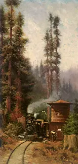 Teller: Camp Teller