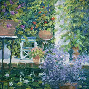 Waterlilies: Campanula and Hanging Plants