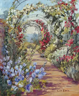 Elvin: Campanula in the Rose Walk