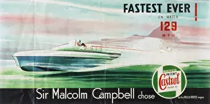 Chosen: CAMPBELL'S BLUEBIRD