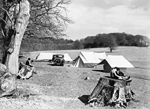 Pitched: Camper at Lyndhurst in England