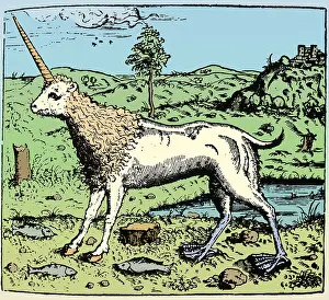 Unicorn: Camphurch, Legendary Creature, 16th Century