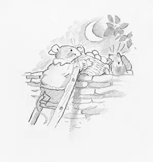 Rats: The Camping Adventure
