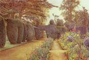Manicured: Campsea Ashe