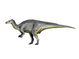 Camptosaurus: Camptosaurus dinosaur