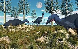 Camptosaurus: Camptosaurus nesting ground set during the Jurassic Period