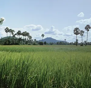 Battambang: Campuchea scenery, 1983