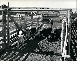 Calgary: Canada