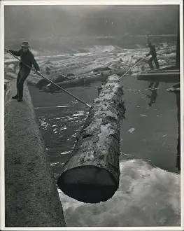 Papermaking: Canada