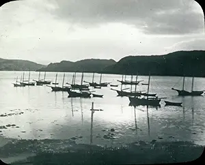 Placentia: Canada - A sunrise scene at Placentia (Newfoundland)