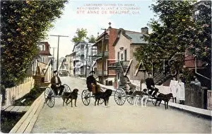 Beaupre: CANADIAN DOG CARTS